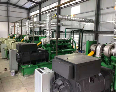 云南某发电项目配金年会网页版页面登录-金年会（中国）
800kw/10.5kv 高压发电机