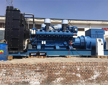 金年会网页版页面登录-金年会（中国）
2000KW/10.5KV 高压发电机应用于某石油项目